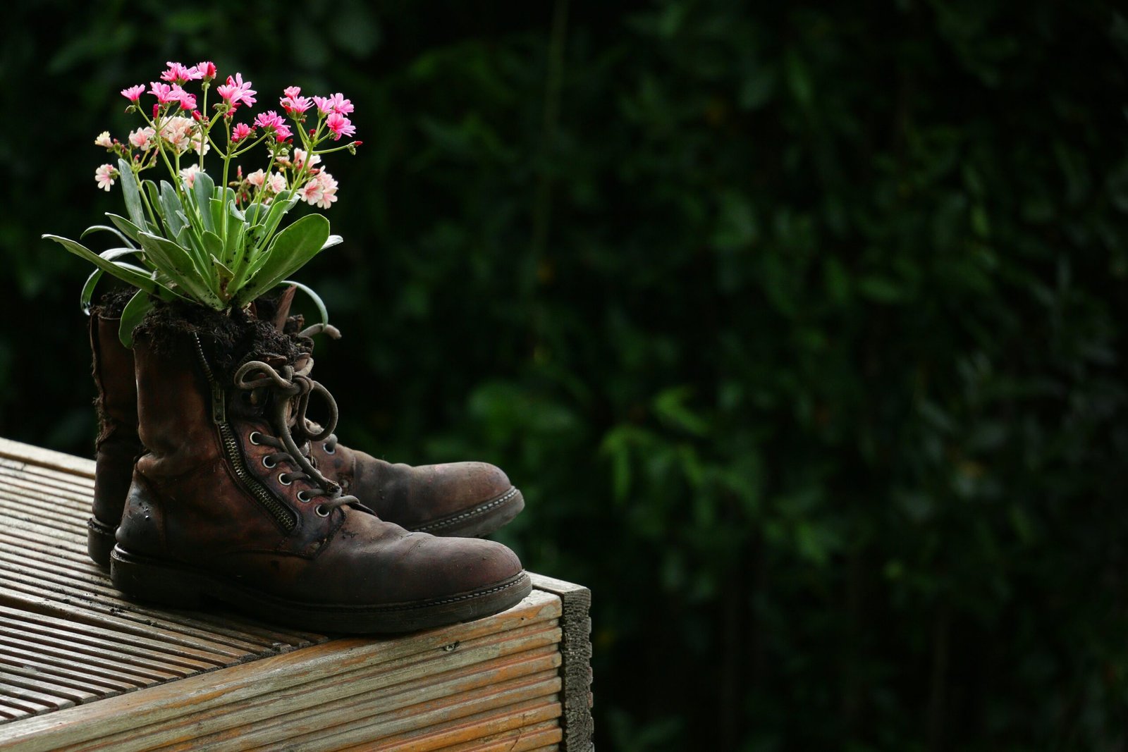 Enhancing Your Outdoor Space: The Beauty of Garden Ornaments